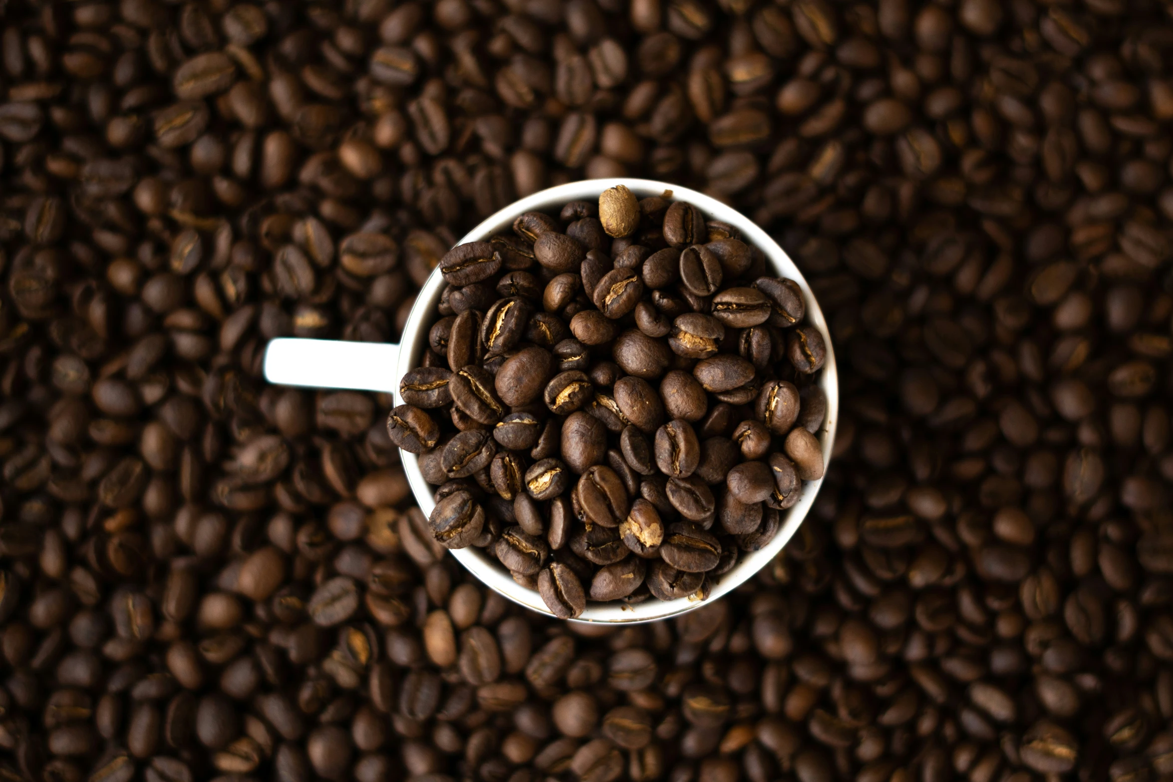 top down view of coffee beans in cup, viewed from above