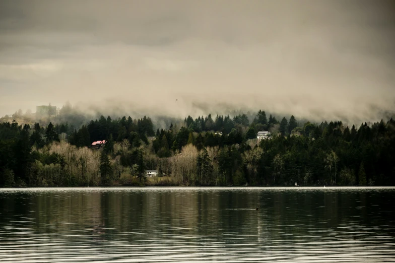 trees and a building on the side of the mountain overlooking a large body of water