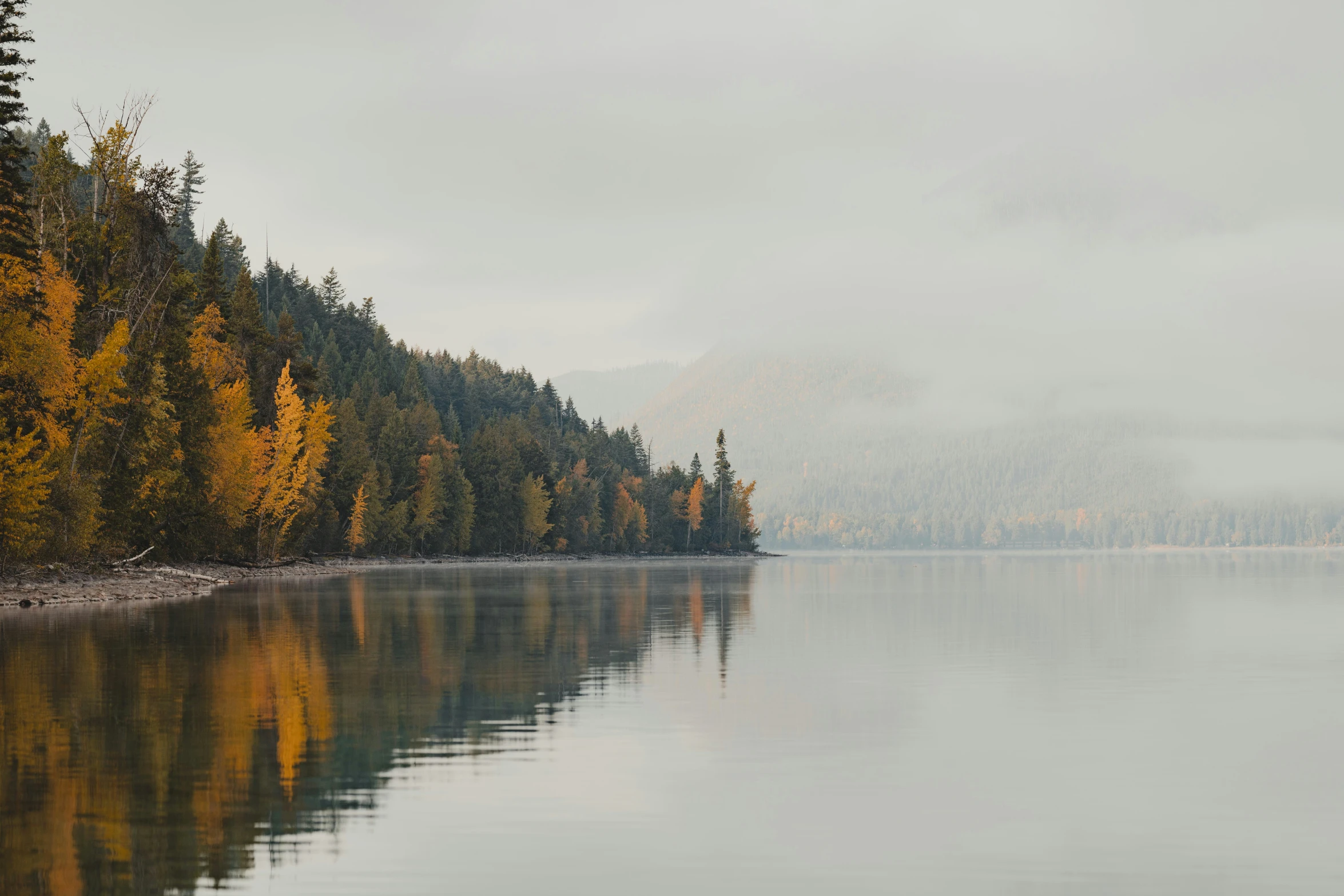 trees on both sides of the body of water with mist over them