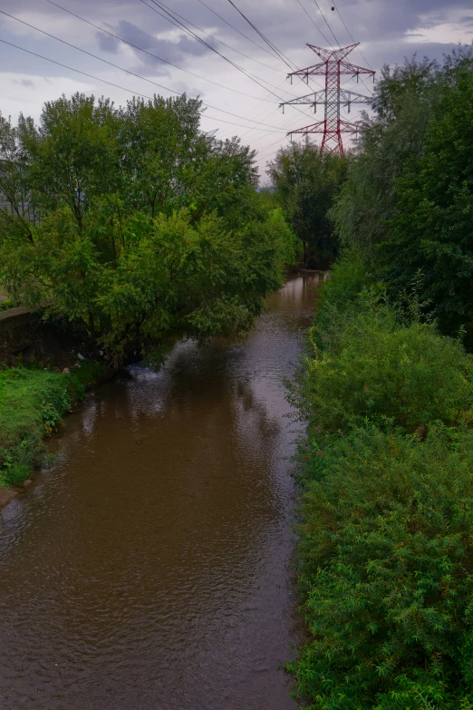 a water flowing under power lines near some trees