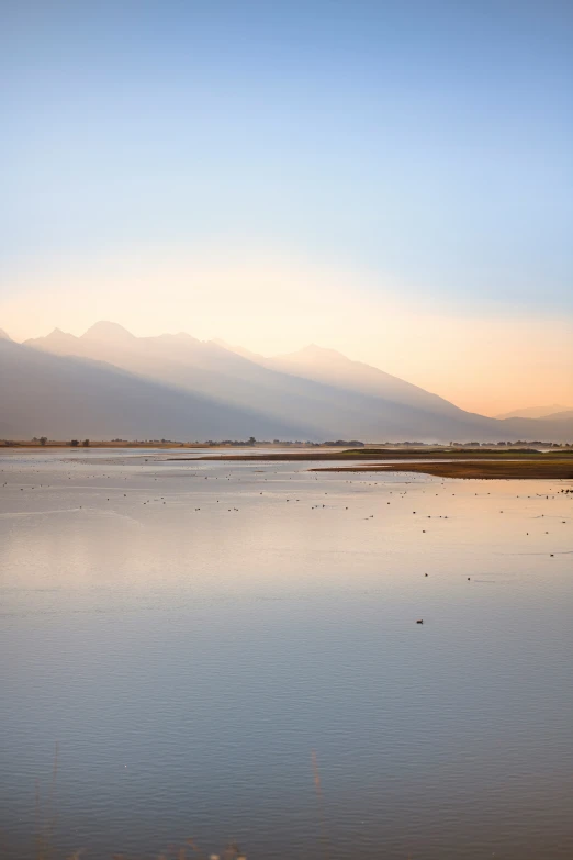 a bird is on the water near the mountains