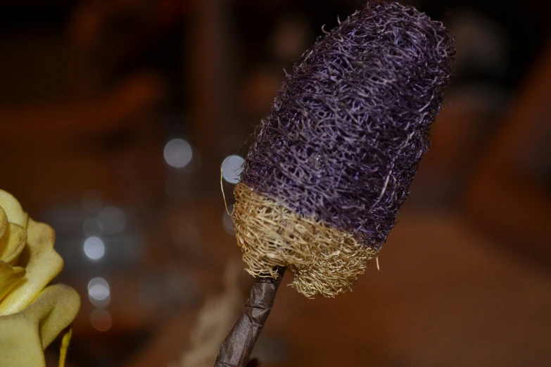 purple flower with brown tips that has been tipped into a cone