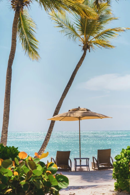 the beach has lounge chairs and umbrellas by the water