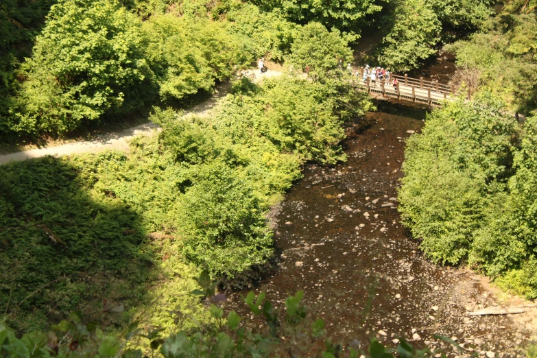 people are walking on a bridge above some trees