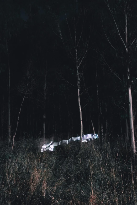 a car sits in the middle of a forest