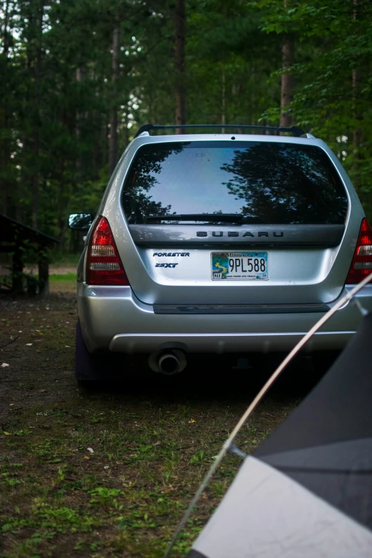 an image of a silver car in the woods