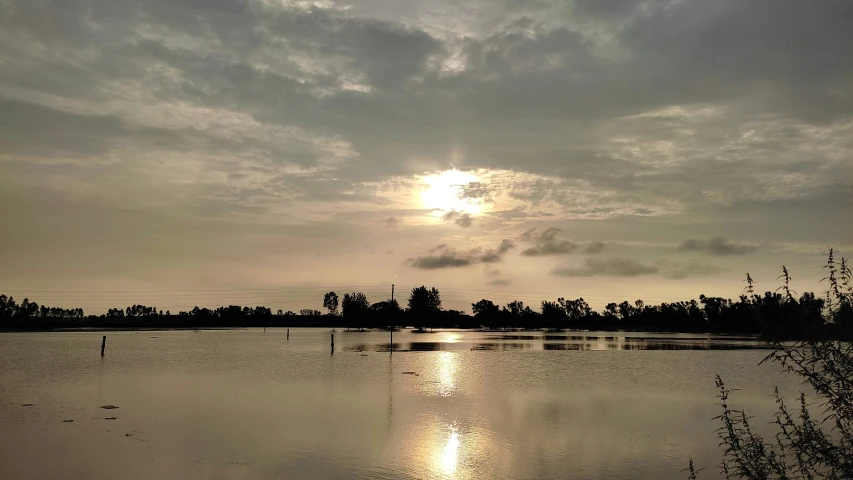 some water and some plants and a cloudy sky