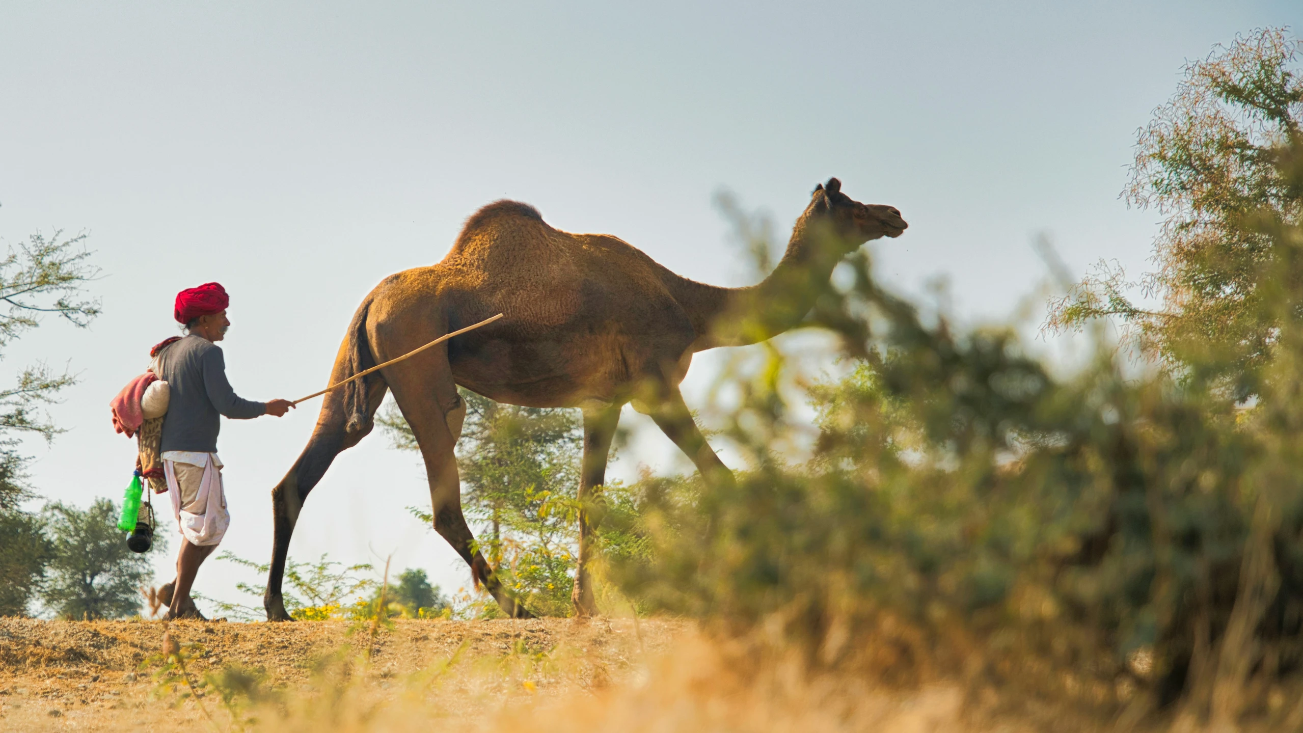 a young man is walking with a camel