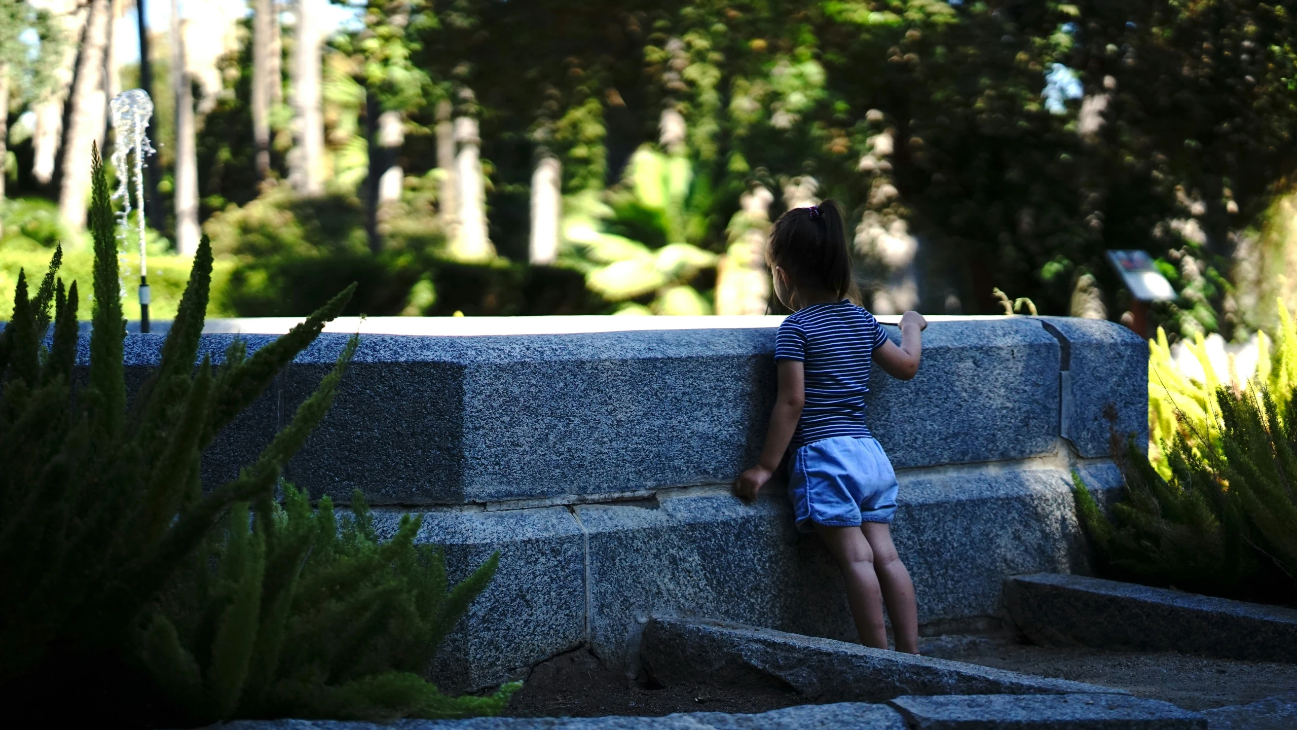 young child in blue shorts sitting on cement wall