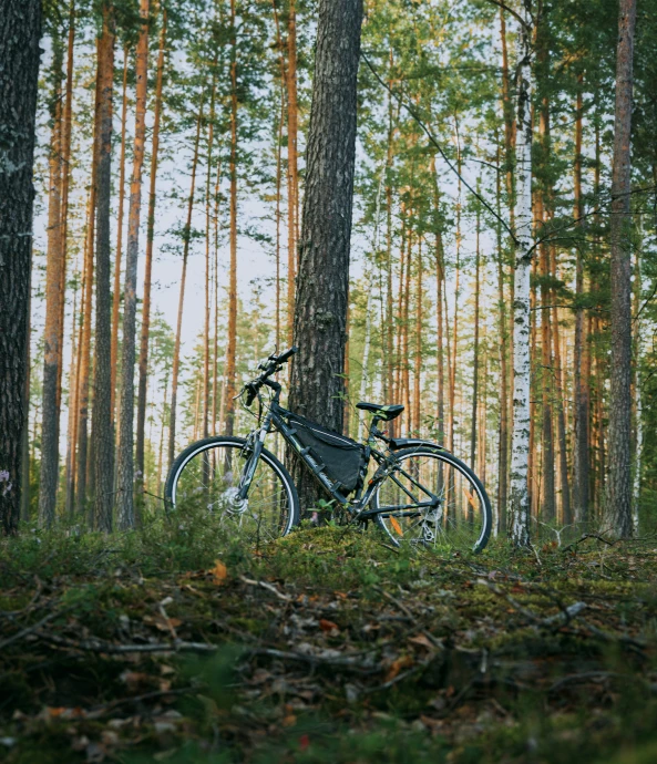 a bicycle is  to a tree in the woods