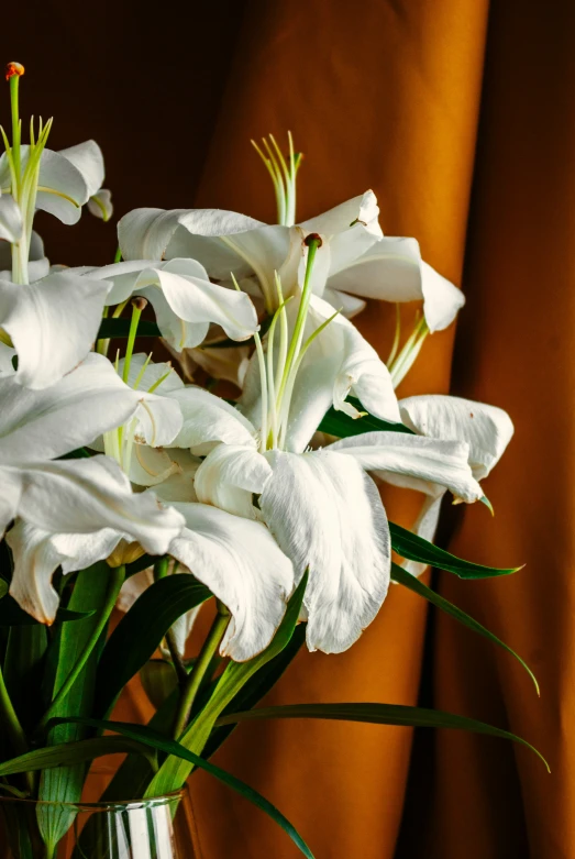 a glass vase with some white flowers in it