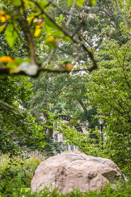 a large rock is standing next to a tree