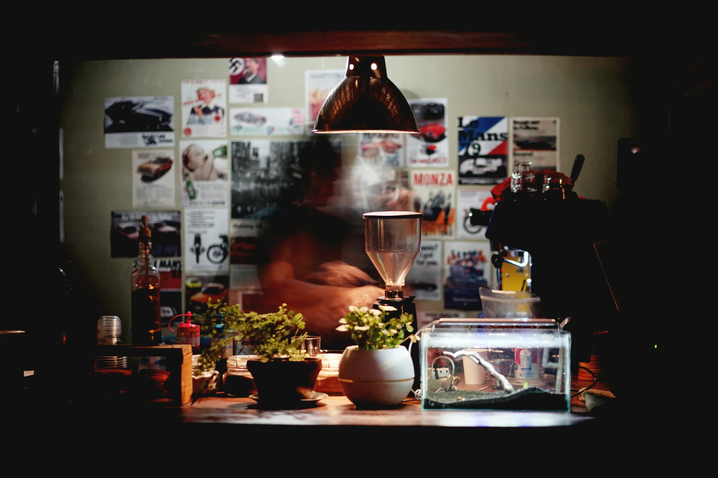 the light shines on a man with  on in front of some plants and posters