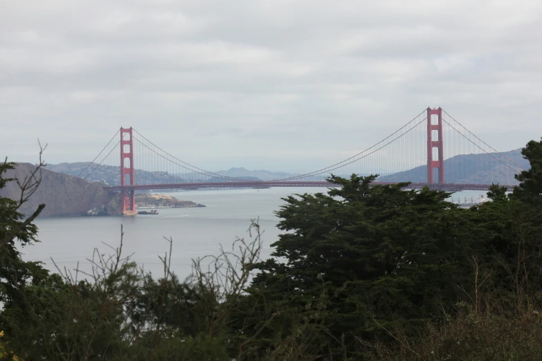 a boat near some trees is in front of the bridge