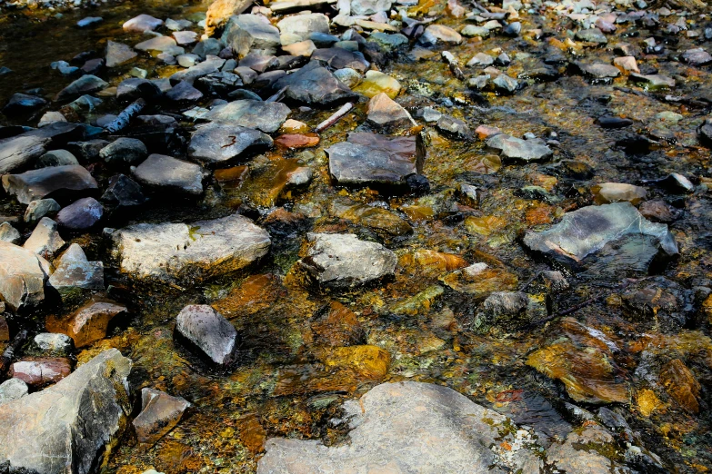 some rocks water and dirt on the ground