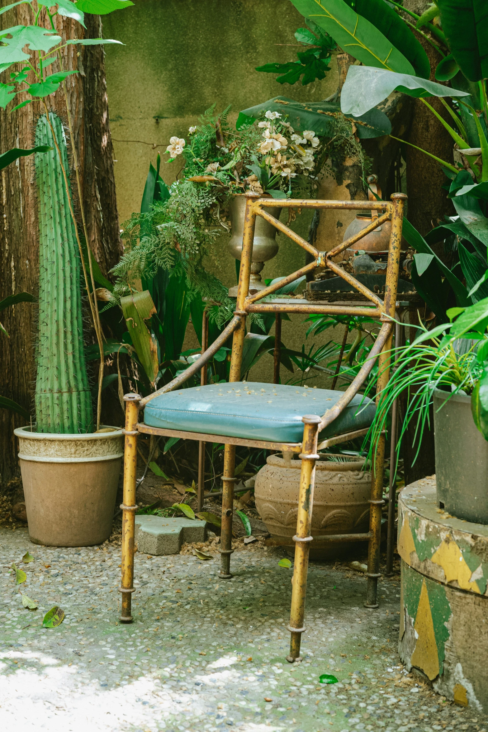 a wooden chair with an old back sitting near some potted plants