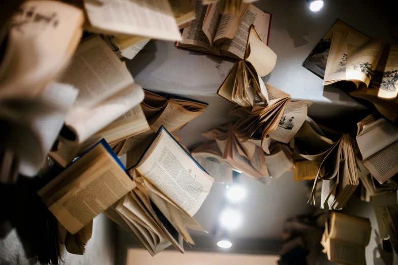 an array of books are sitting together on the wall