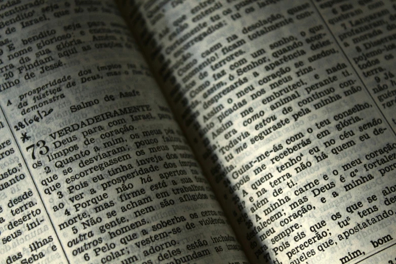 a closeup s of the text that appears in an open book