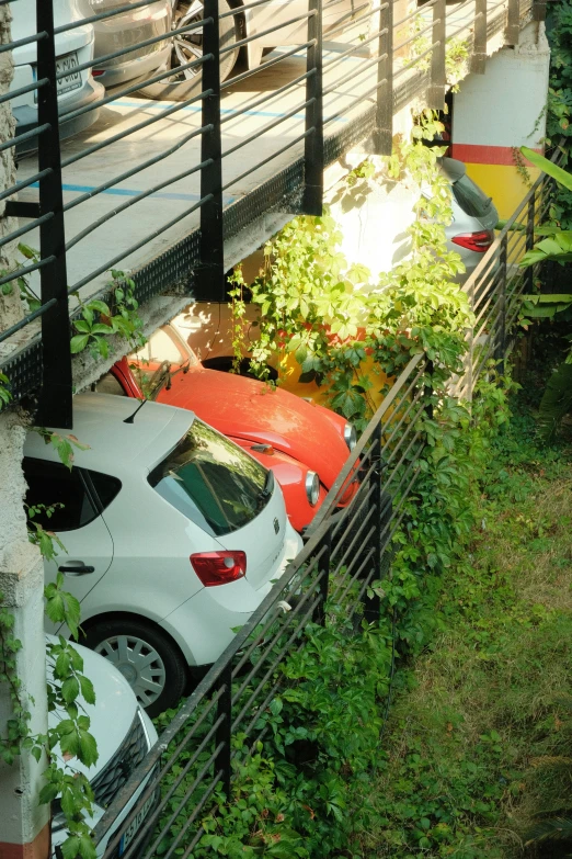 two cars parked in a patch of greenery with a fence and a railing behind them