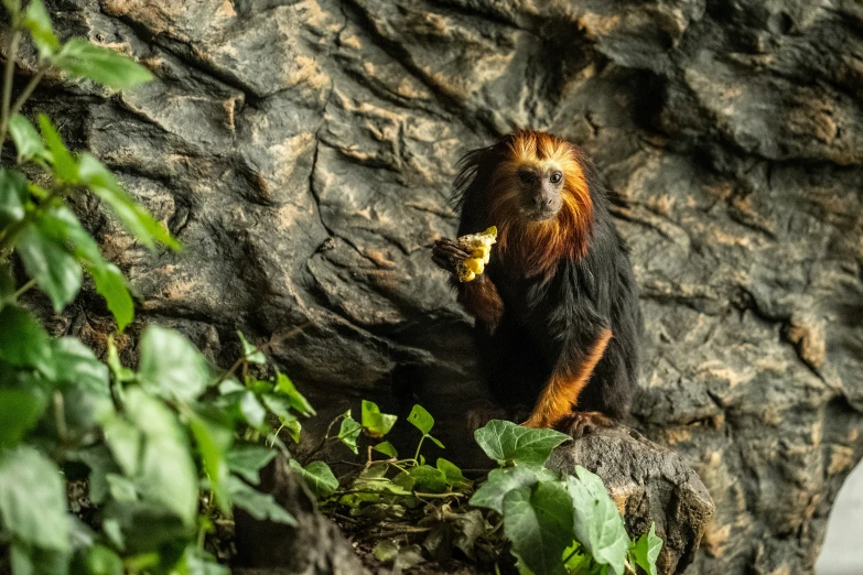 there is a small bird perched on a tree limb