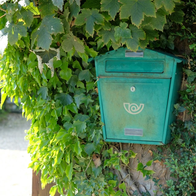 a green mailbox that is on the side of a tree