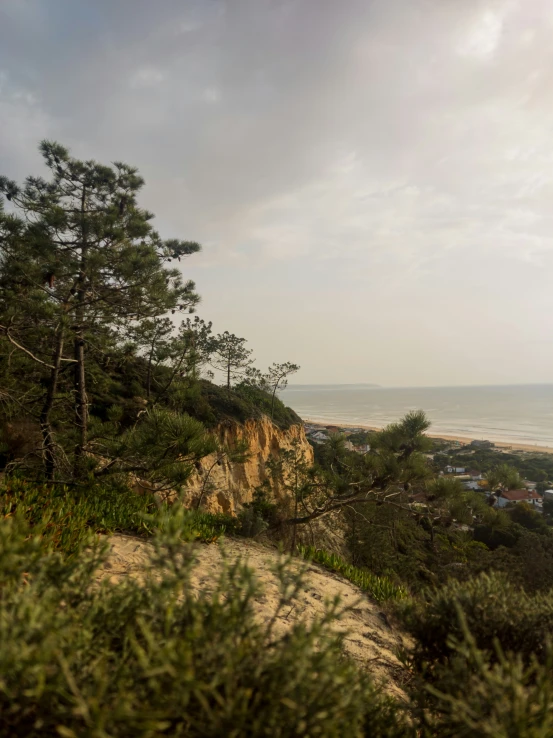 a person riding on a bike down a trail by the ocean