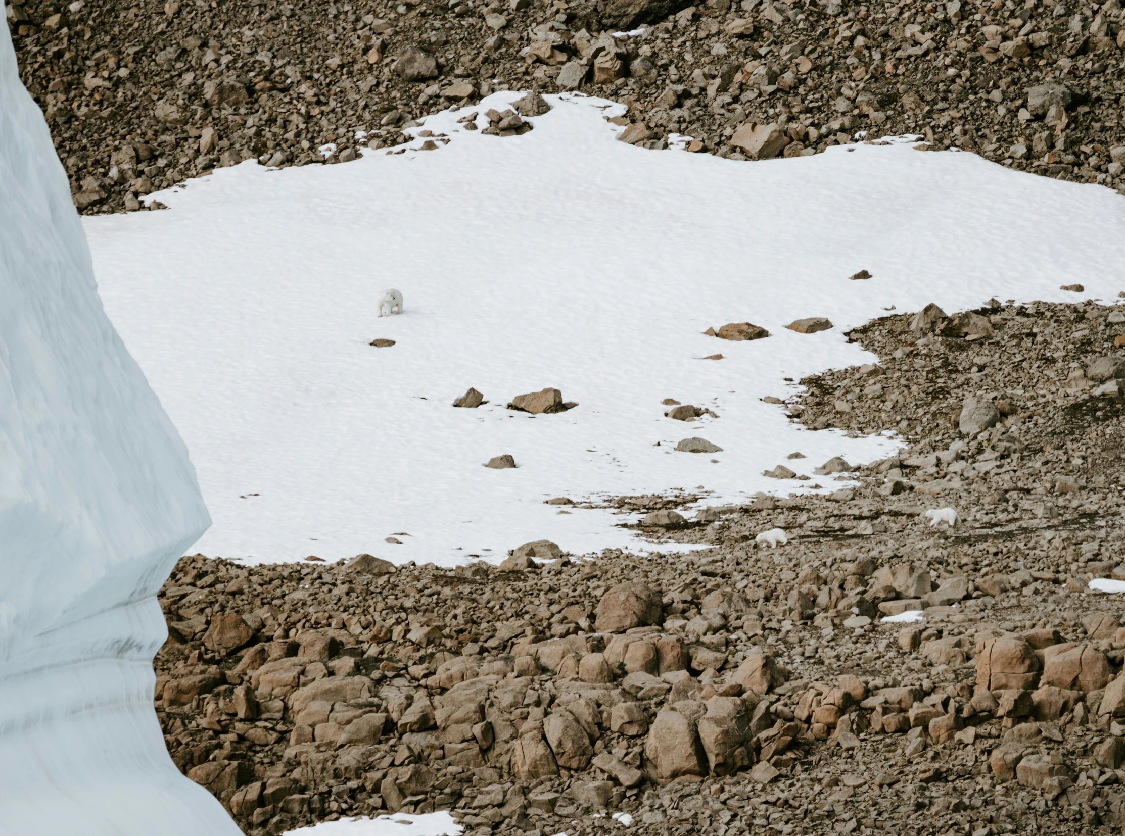 a snowboarder is walking through a snowy area