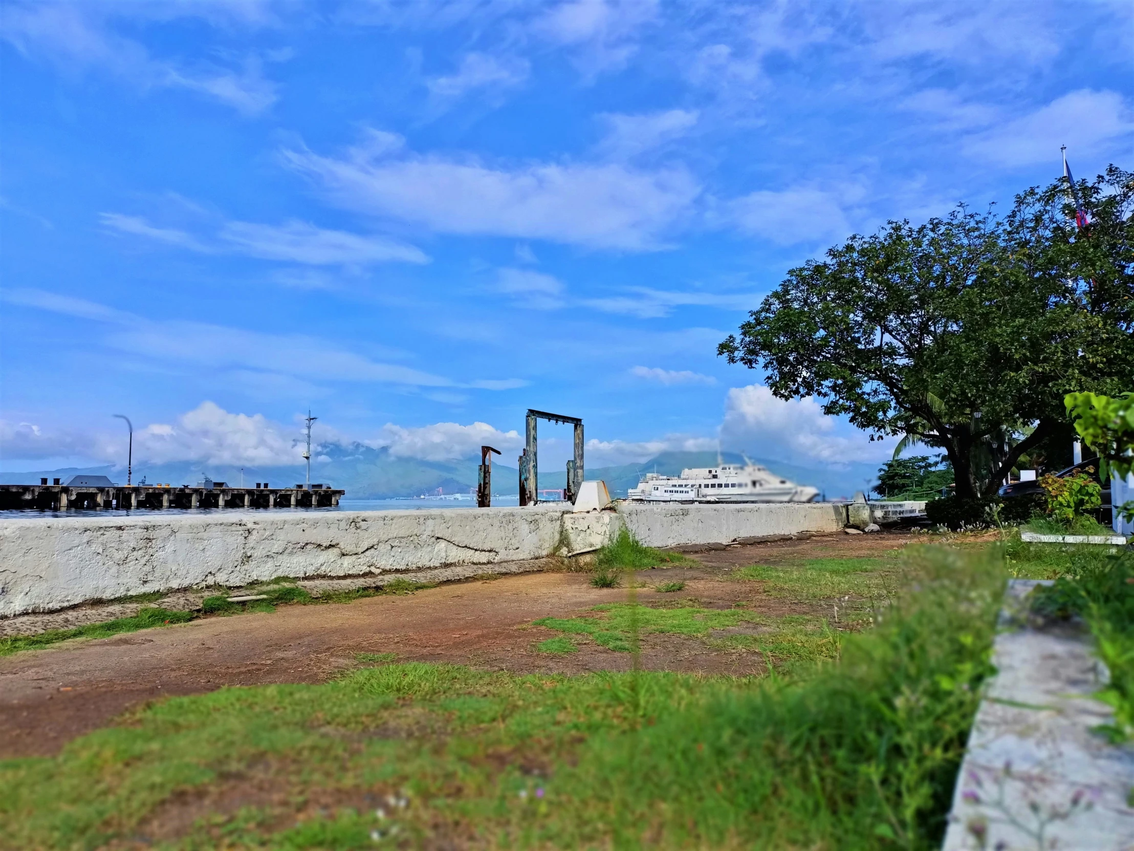 the grassy area has a small bridge and trees in front of it