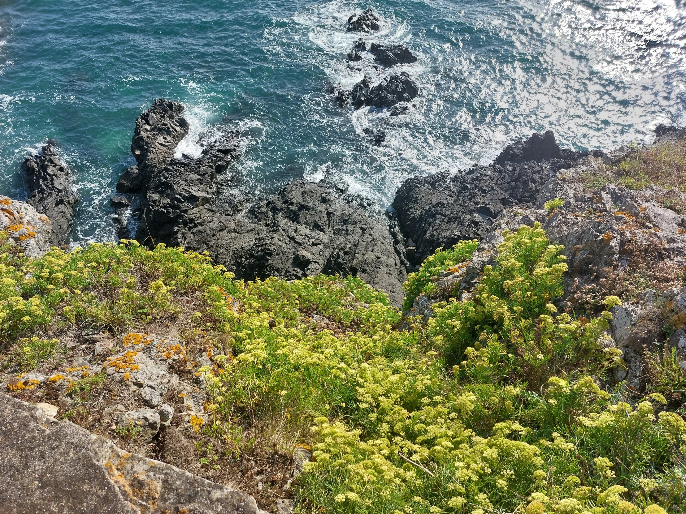 the view down into the ocean from a cliff near some water