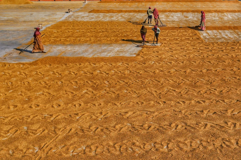 four people are walking through the sand