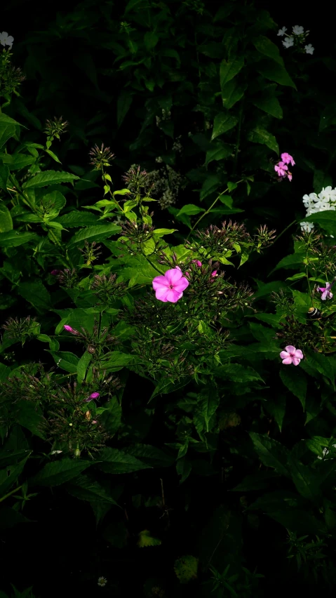 a small white clock sitting next to flowers