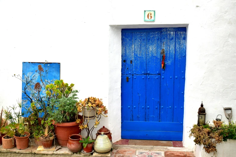 potted plants sit on the steps of the porch in front of a door