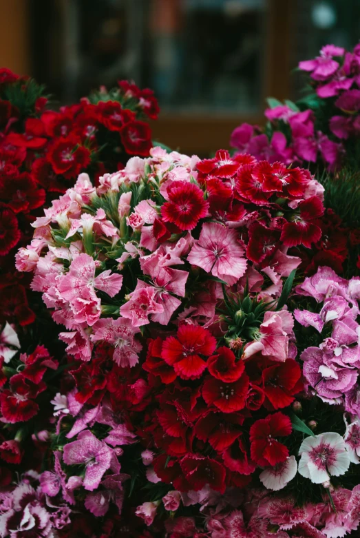 a group of different colored flowers sitting on top of each other