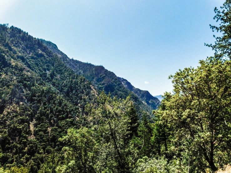 a scenic mountain range covered in lots of trees