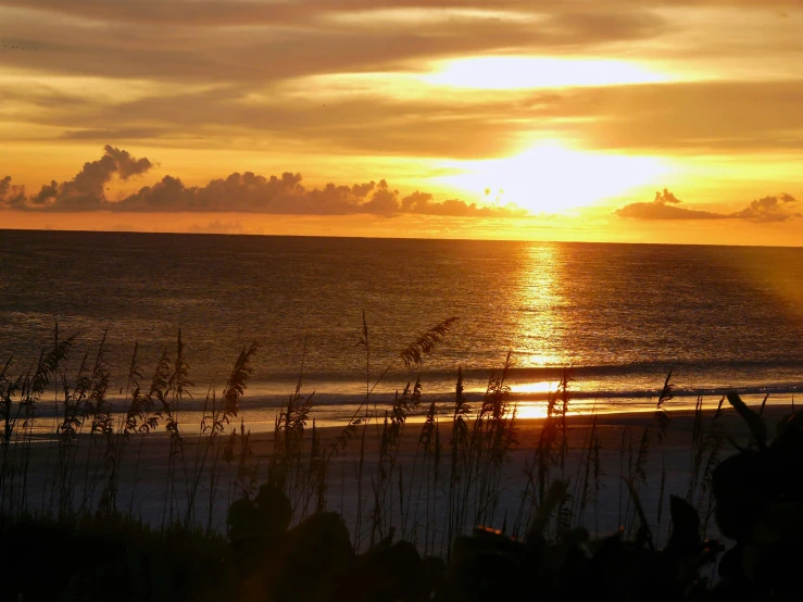 a sunset over the ocean with birds flying