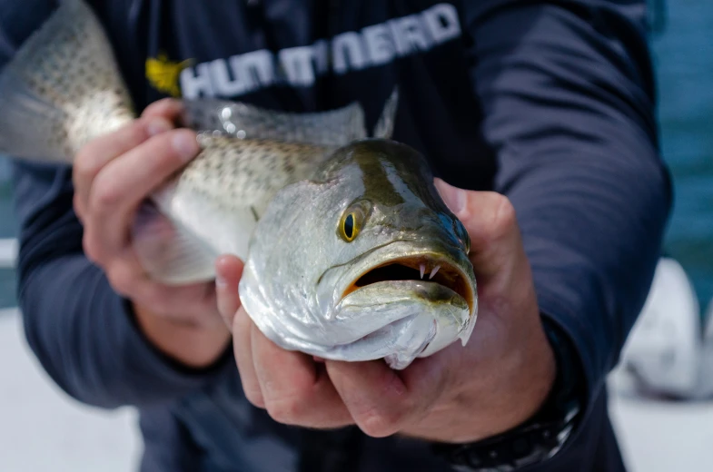 a person is holding up a large fish