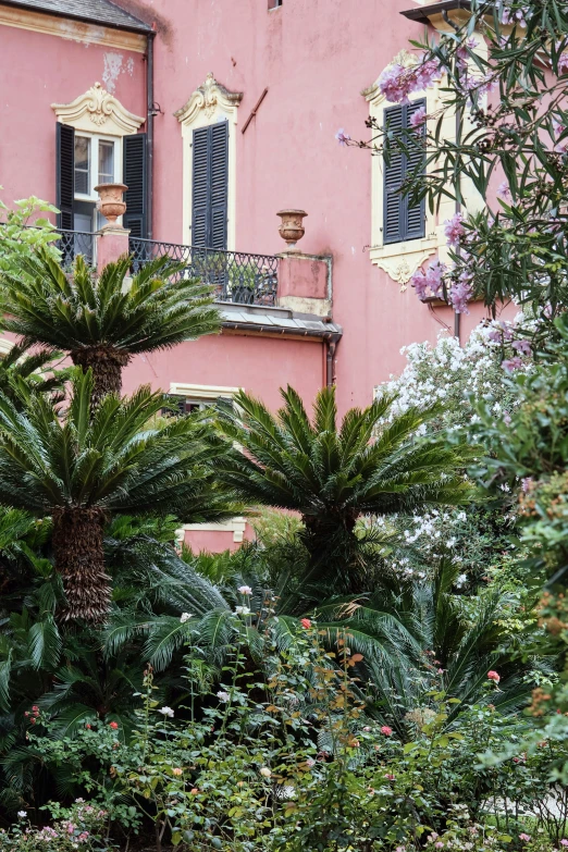 pink house with palm trees in front and bushes in the foreground