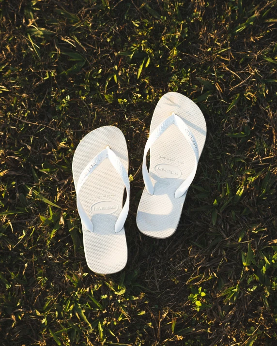 pair of sandals on grass in front of sunlight