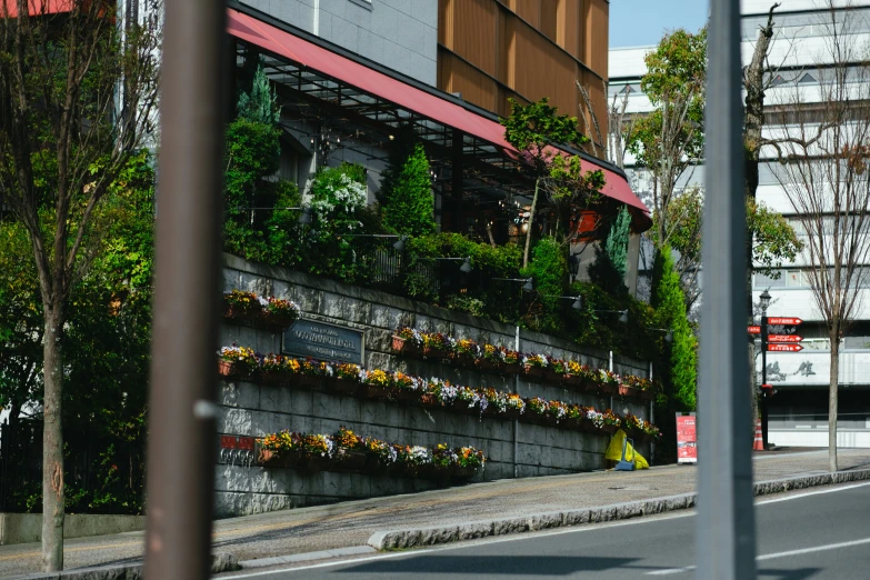 a street with potted trees and buildings on each side