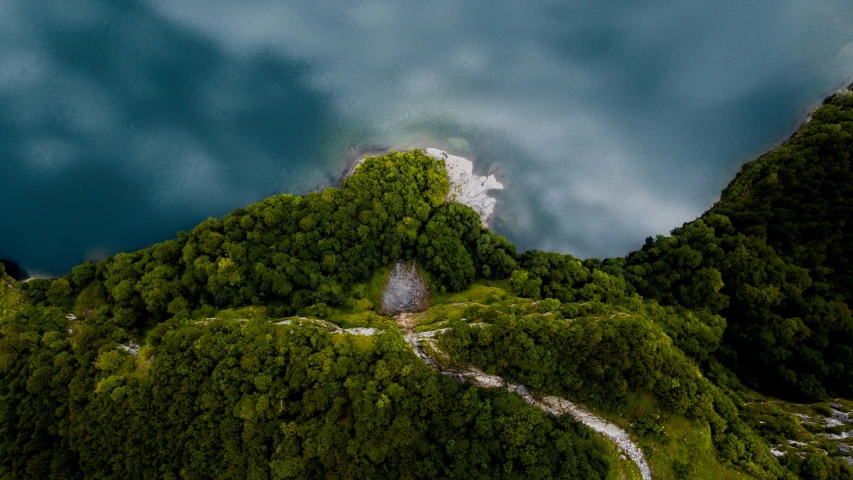 aerial view of a lake and trees near the shore