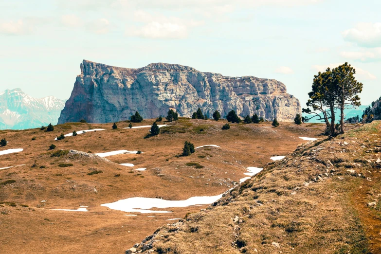 an alpine landscape with trees on either side