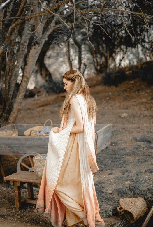 a woman with long brown hair in an antique dress walking away from a picnic table
