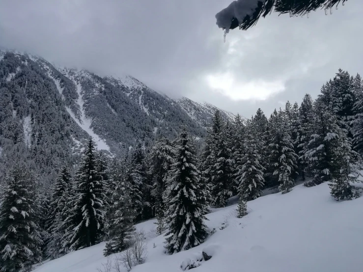 some people skiing on a snow covered slope