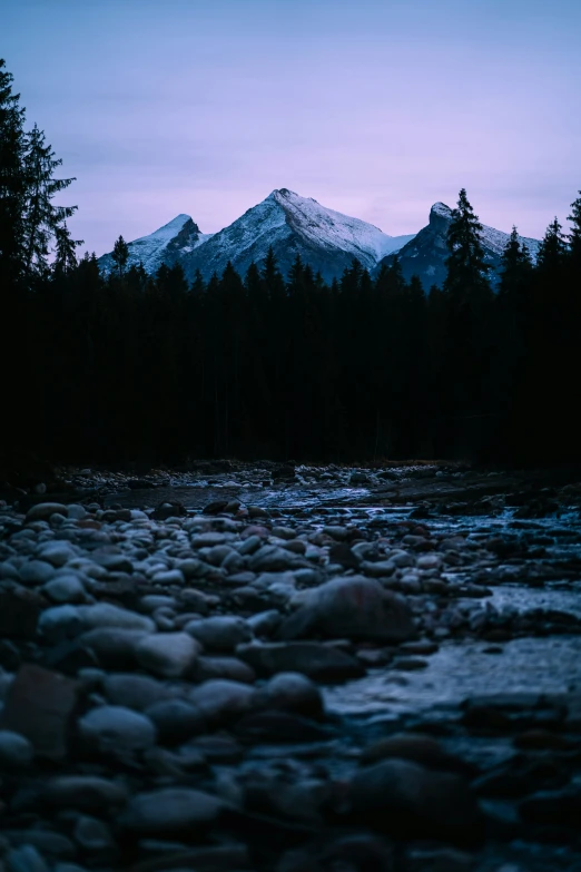 a river near a wooded area with trees and mountains in the background