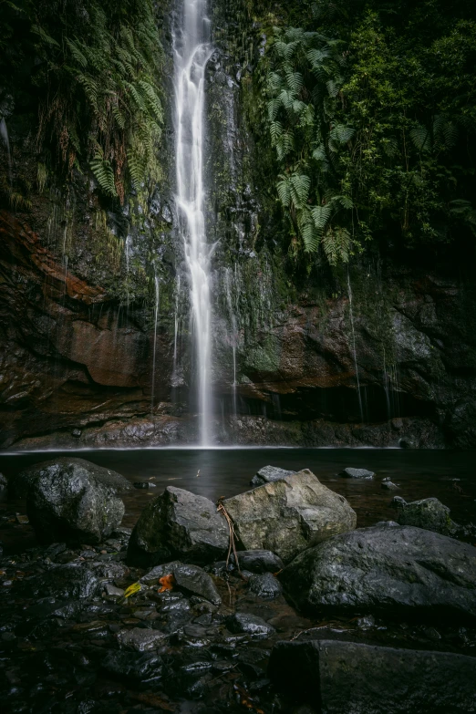 a waterfall surrounded by greenery in the woods