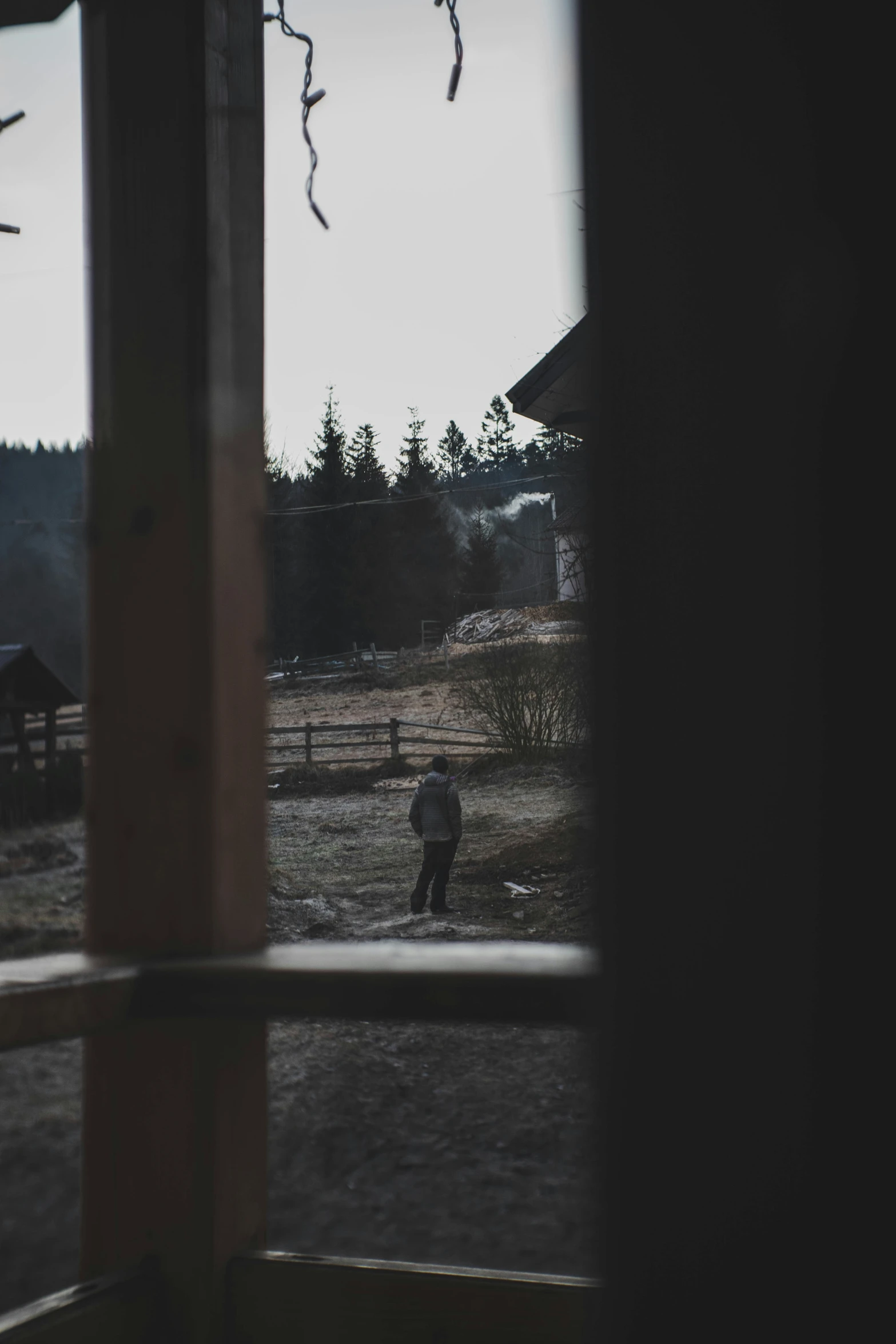 two men walking outside on a farm through window