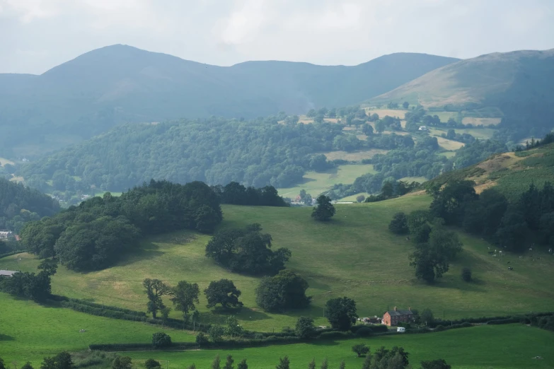 a rural green landscape that has trees and mountains in the background