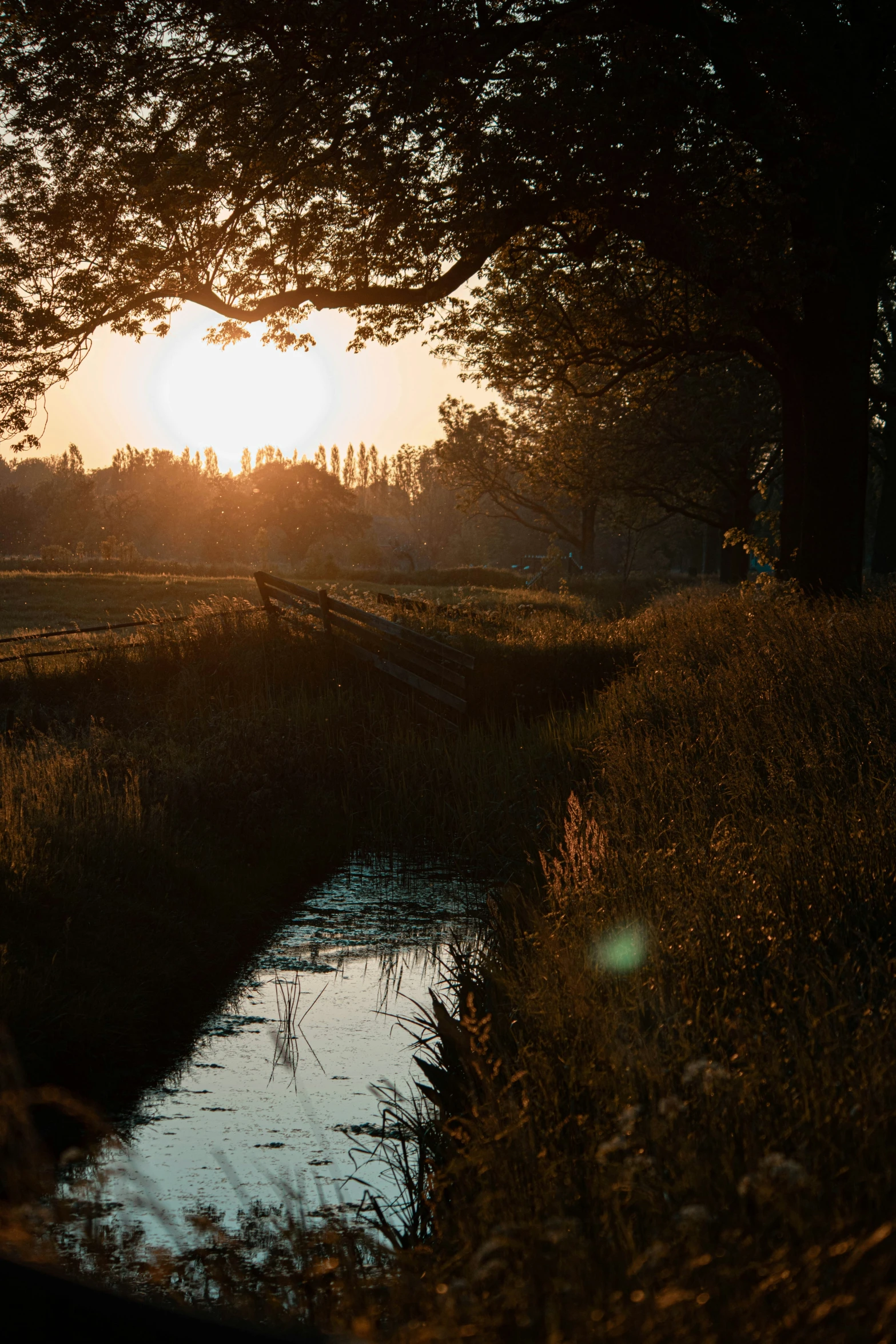 the sun sets in the distance behind some trees over a stream