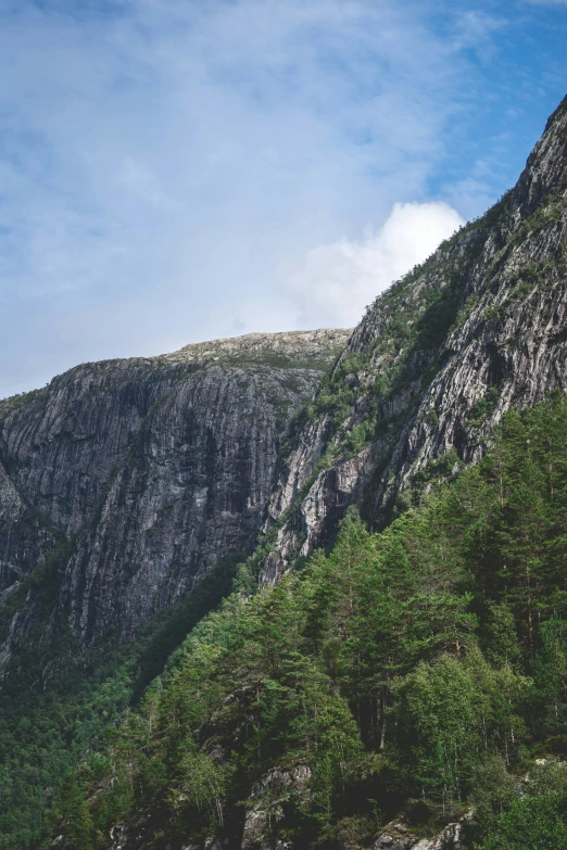 the side of a mountain surrounded by green trees