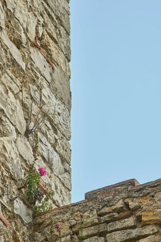 a stone wall and clock with pink flowers growing in the window sill